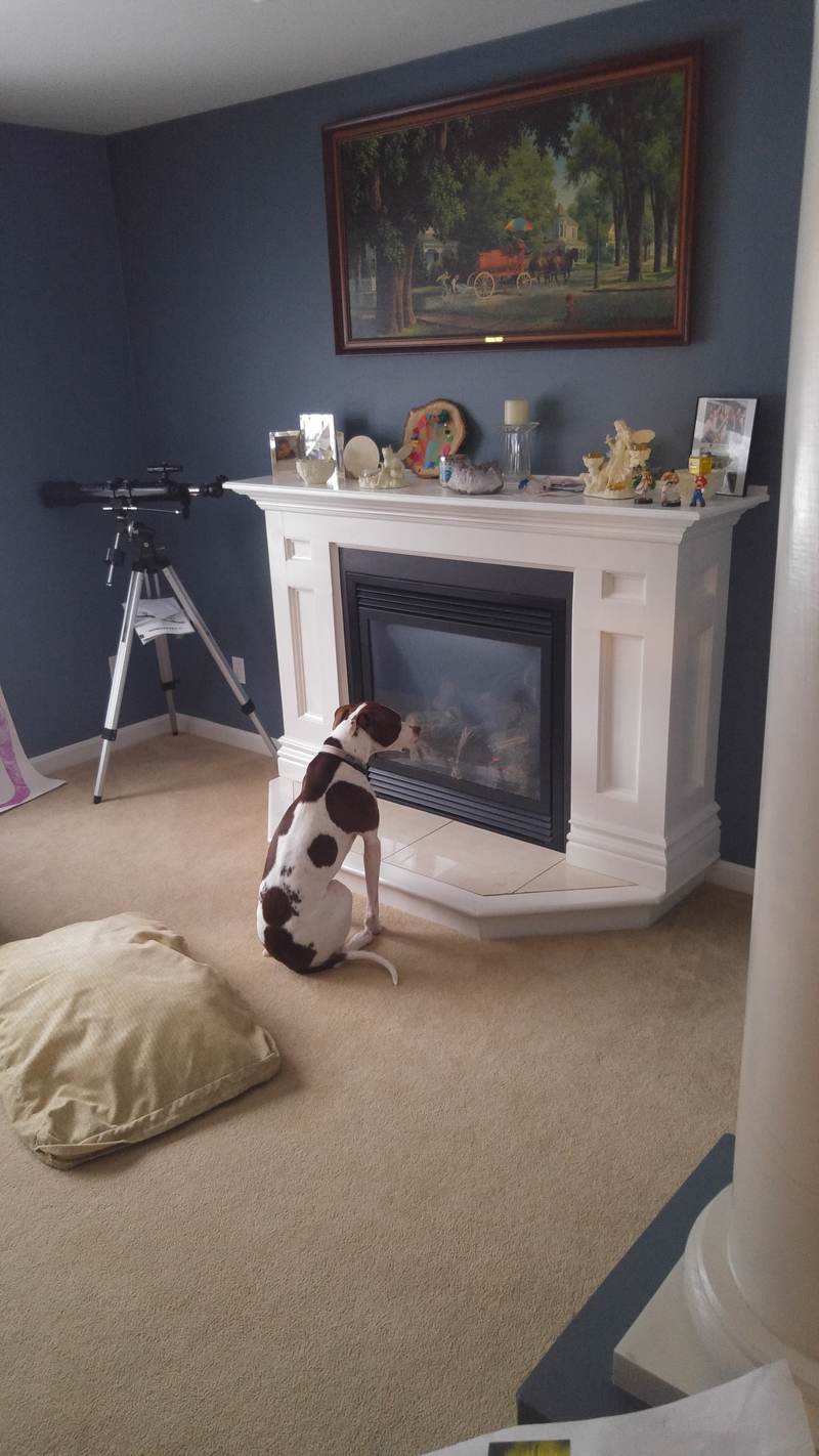 Illustration for article titled Somebody turn the damn fireplace on